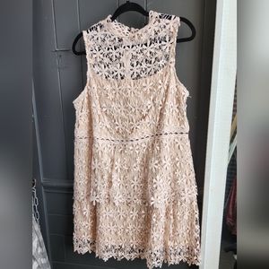 Boo  Hoo Lace Dress